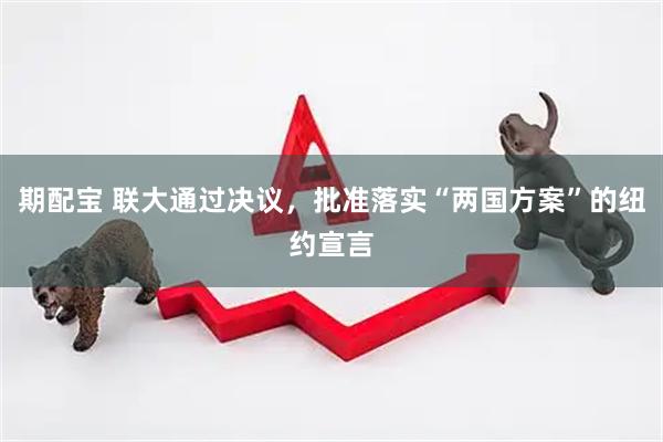 期配宝 联大通过决议，批准落实“两国方案”的纽约宣言