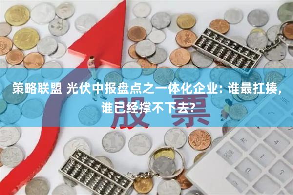 策略联盟 光伏中报盘点之一体化企业: 谁最扛揍, 谁已经撑不下去?