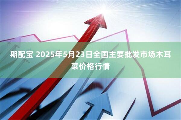 期配宝 2025年5月23日全国主要批发市场木耳菜价格行情