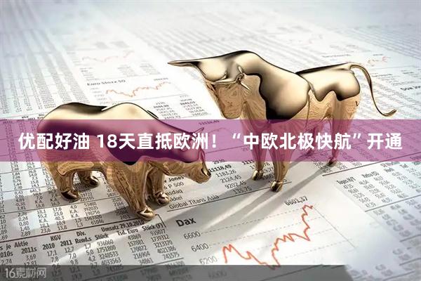 优配好油 18天直抵欧洲！“中欧北极快航”开通