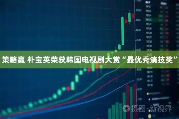策略赢 朴宝英荣获韩国电视剧大赏“最优秀演技奖”