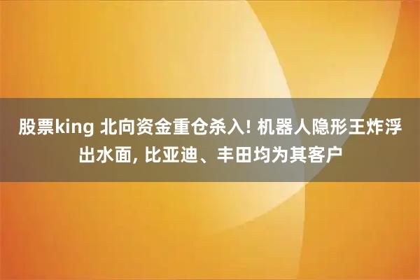 股票king 北向资金重仓杀入! 机器人隐形王炸浮出水面, 比亚迪、丰田均为其客户
