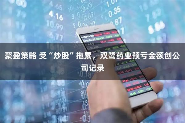 聚盈策略 受“炒股”拖累，双鹭药业预亏金额创公司记录